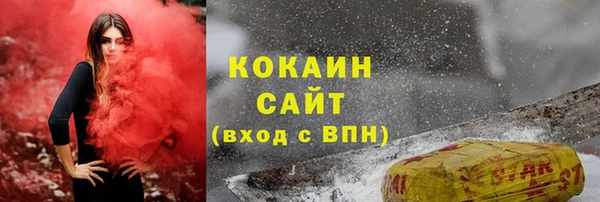 амф Каменка