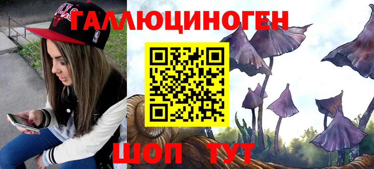 Псилоцибиновые грибы MAGIC MUSHROOMS  Вход с VPN  Феодосия  закладка  Псилоцибиновые грибы мухоморы 