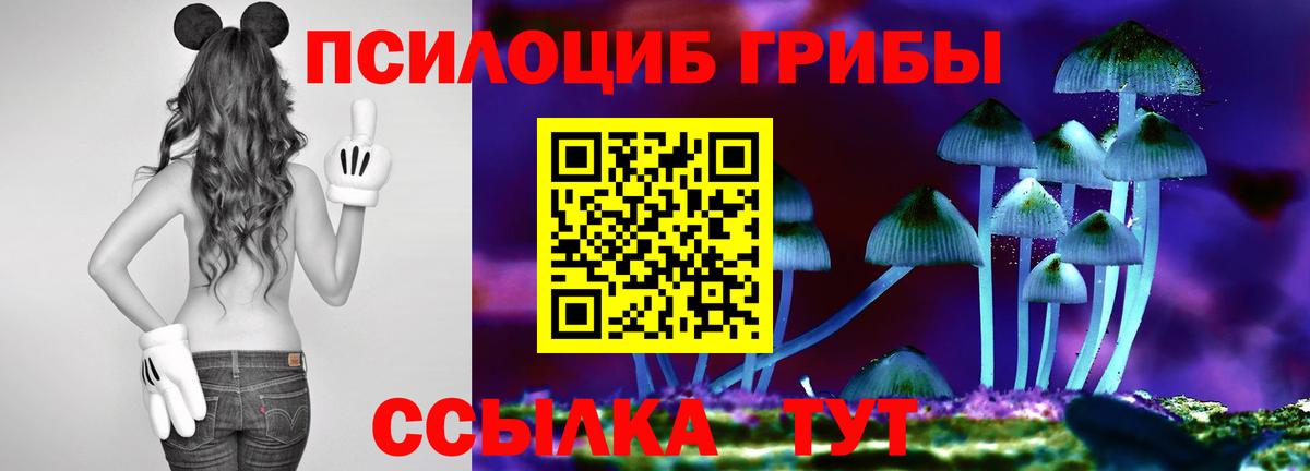 Псилоцибиновые грибы мухоморы Феодосия