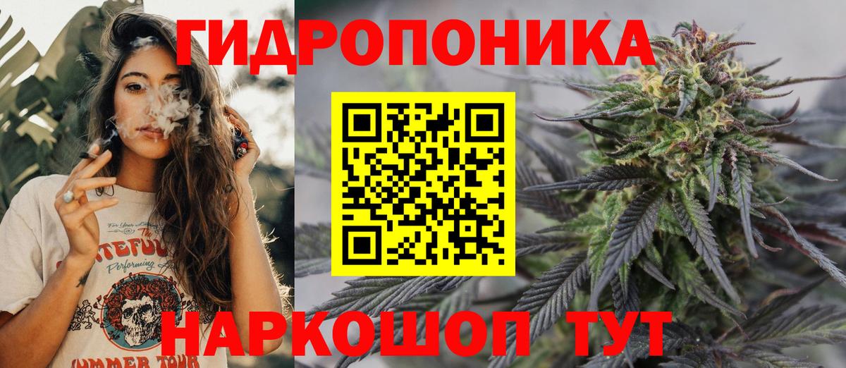 Галлюциногенные грибы Феодосия
